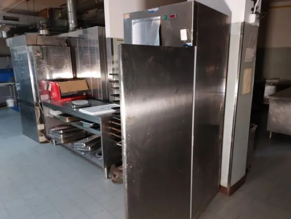 7#8063 Abbattitore Icematic e armadio congelatore Tenodom