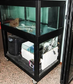 Acquario marino