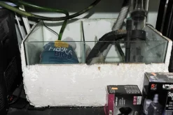 Acquario marino