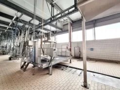 #25038 Affitto di stabilimento produttivo
