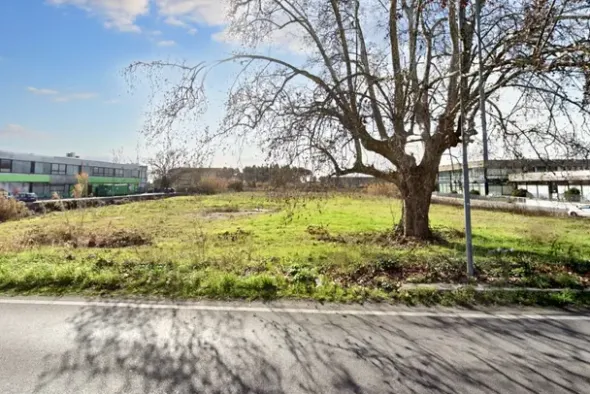 #23830 Appezzamenti di terreno di complessivi 21.745 mq