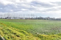 #2531004 Appezzamenti di terreno di 12.973 mq