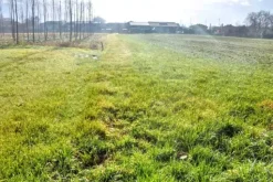 #2531004 Appezzamenti di terreno di 12.973 mq