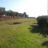 #23461 Appezzamento agricolo collinare e annessi rurali