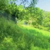 #20924 Appezzamento agricolo collinare di 5270 mq