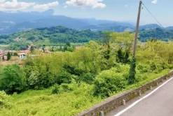 #20924 Appezzamento agricolo collinare di 5270 mq