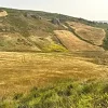 #25044 Appezzamento agricolo collinare con rudere