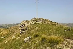 #25044 Appezzamento agricolo collinare con rudere