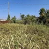 #23010 Appezzamento agricolo con accesso strada