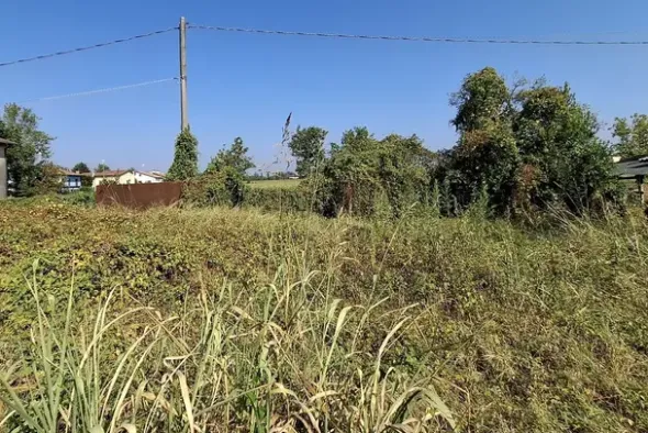 #23010 Appezzamento agricolo con accesso strada