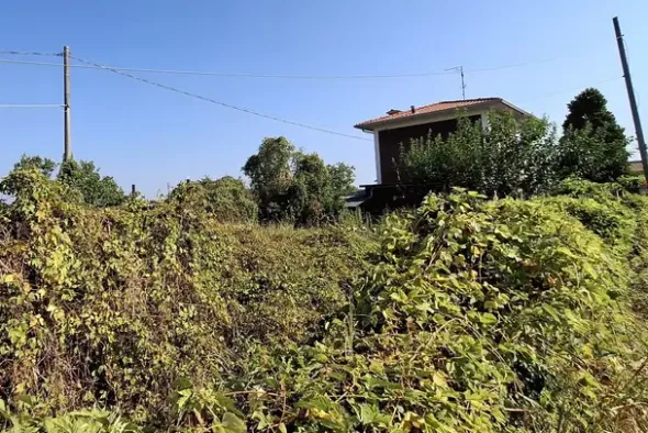#23010 Appezzamento agricolo con accesso strada