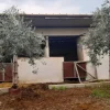 #24107 Appezzamento agricolo con alberi di ulivo
