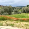 #26060 Appezzamento agricolo con area boschiva