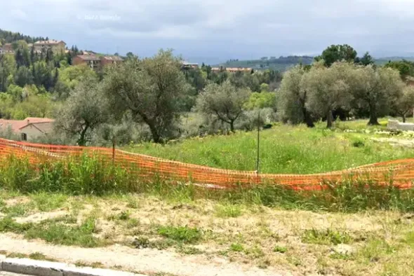 #26060 Appezzamento agricolo con area boschiva
