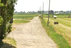 #2639194 Appezzamento agricolo e ruderi collabenti