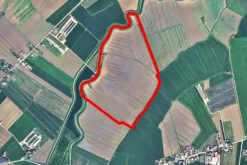 #2639194 Appezzamento agricolo e ruderi collabenti