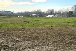 #25332 Appezzamento agricolo in area tutelata