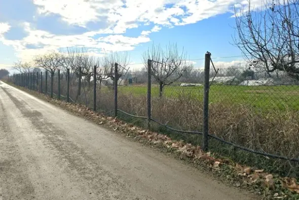 #25332 Appezzamento agricolo in area tutelata