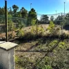 #24555 Appezzamento agricolo incolto di 3242 mq