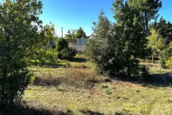 #24555 Appezzamento agricolo incolto di 3242 mq