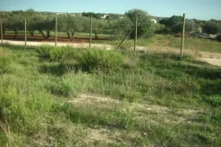 #2638306 Appezzamento agricolo incolto di 9960 mq