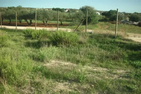 #2638306 Appezzamento agricolo incolto di 9960 mq