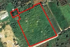 #2638306 Appezzamento agricolo incolto di 9960 mq