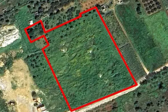 #2638306 Appezzamento agricolo incolto di 9960 mq
