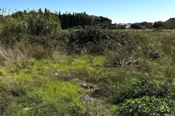 #24554 Appezzamento agricolo incolto di 1178 mq