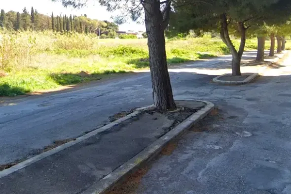 #24554 Appezzamento agricolo incolto di 1178 mq