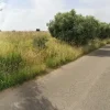 #2638529 Appezzamento agricolo in periferia rurale