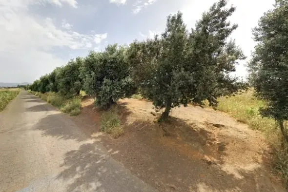#2638529 Appezzamento agricolo in periferia rurale