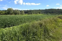 #24306 Appezzamento agricolo in zona periferica rurale