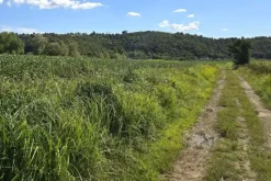 #24306 Appezzamento agricolo in zona periferica rurale
