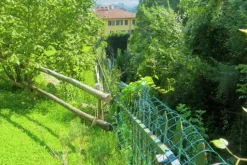 #20926 Appezzamento boschivo collinare di 5727 mq