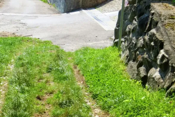 #20925 Appezzamento boschivo collinare di 440 mq
