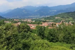 #20925 Appezzamento boschivo collinare di 440 mq