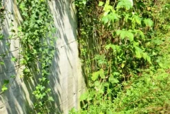 #20928 Appezzamento boschivo collinare di 14980 mq