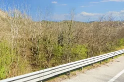 #20968 Appezzamento boschivo in zona collinare