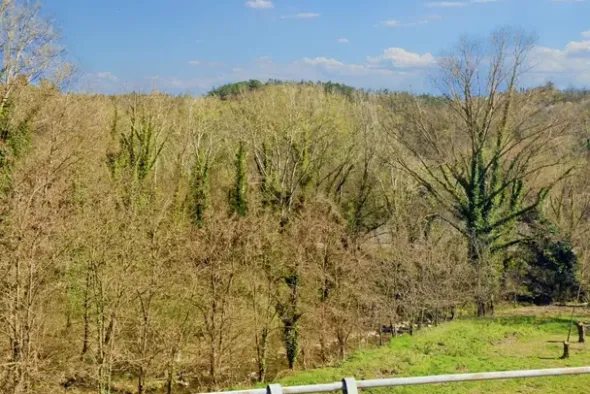 #20968 Appezzamento boschivo in zona collinare