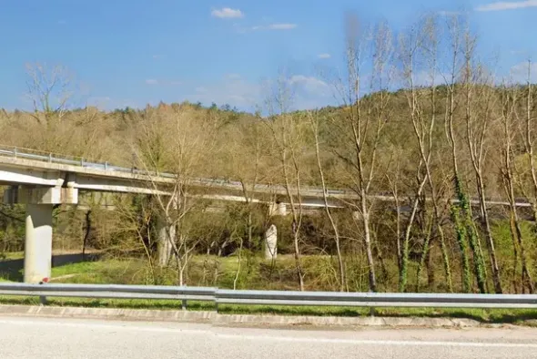 #20968 Appezzamento boschivo in zona collinare