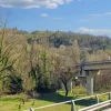 #20968 Appezzamento boschivo in zona collinare