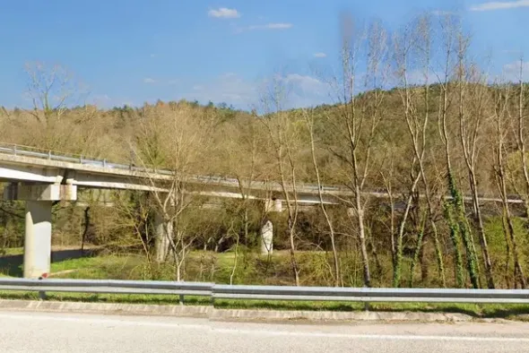 #20968 Appezzamento boschivo in zona collinare