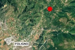 #20968 Appezzamento boschivo in zona collinare