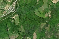 #20968 Appezzamento boschivo in zona collinare