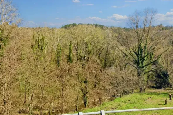 #20968 Appezzamento boschivo in zona collinare