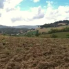 #21538 Appezzamento con ex cava di argilla