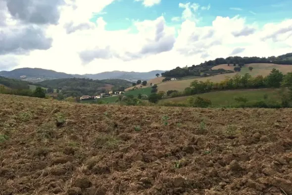 #21538 Appezzamento con ex cava di argilla
