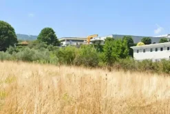 #25937 Appezzamento di 700 mq in area produttiva