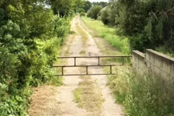 #2638553 Appezzamento di terreno agricolo con uliveto